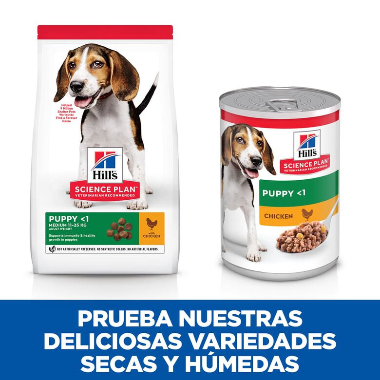 Hill's Puppy Science Plan Frango lata, , large image number null